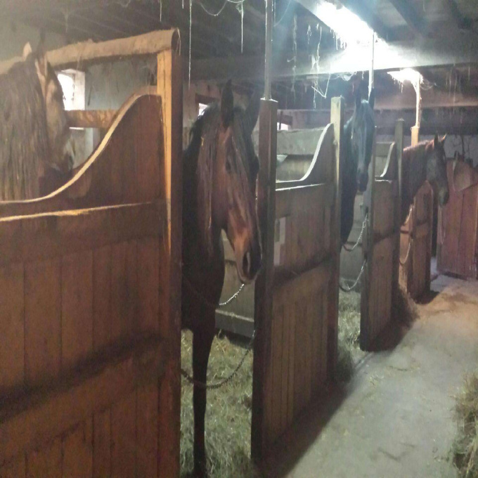 Offres de vente Propriete Bourbon-Lancy (71140)